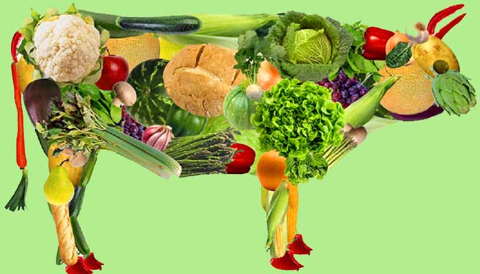 una-vida-mas-sana-sin-carne-las-8-mentiras-la-alimentacion.jpg